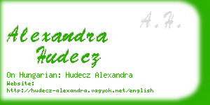 alexandra hudecz business card